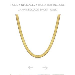 NEW IN BAG - HAILEY HERRINGBONE CHAIN NECKLACE, SHORT - GOLD